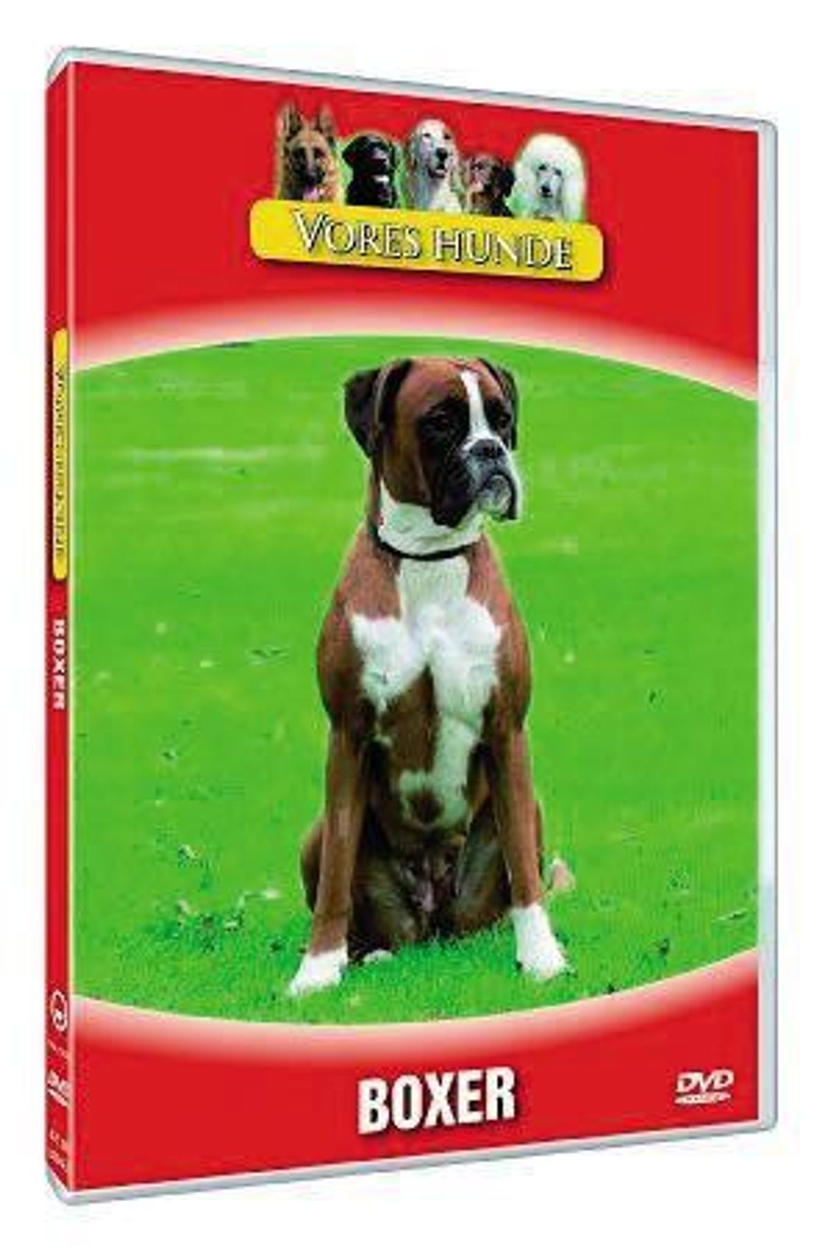 Vores hunde - Boxer