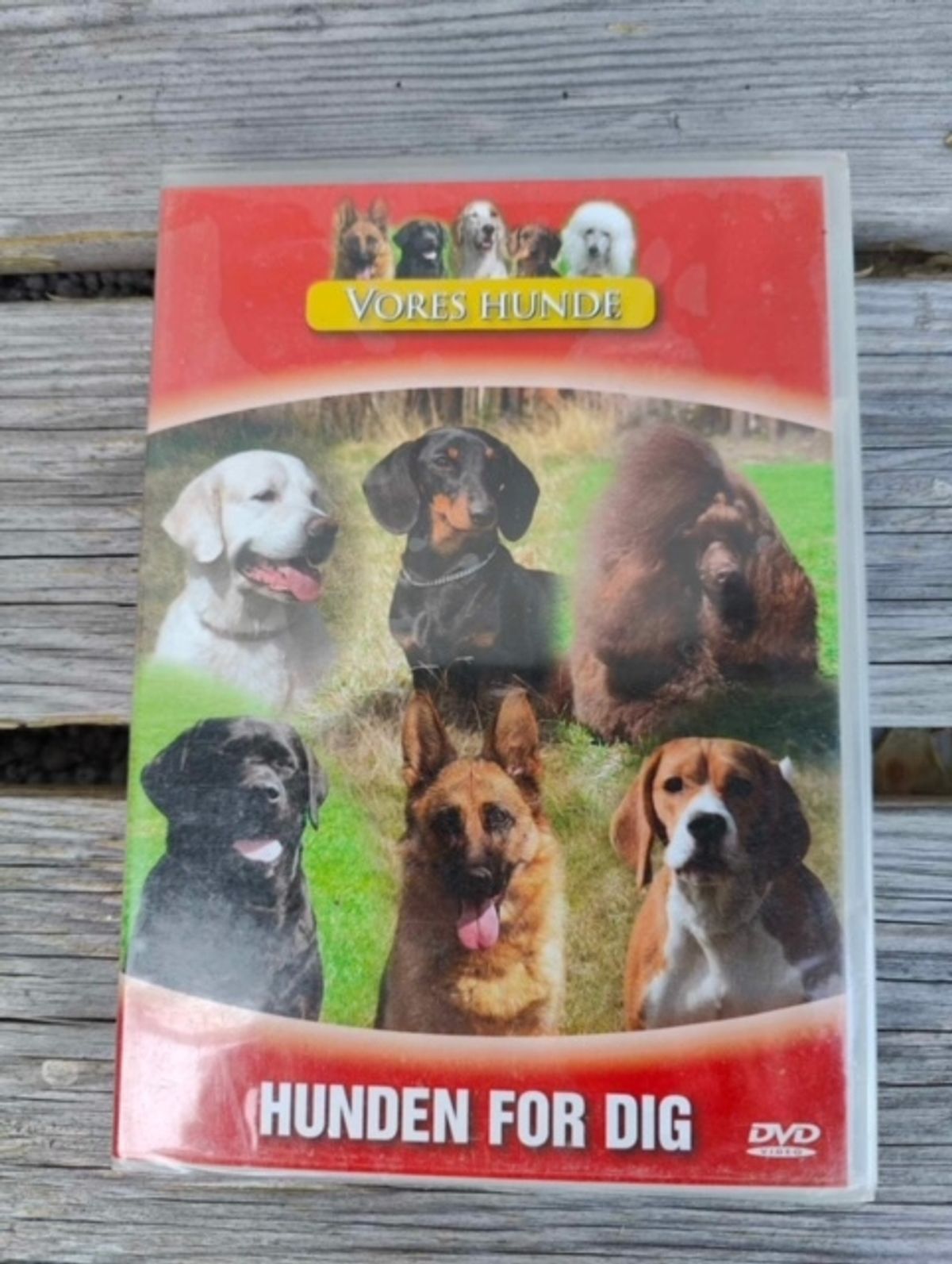 Vores hunde - Hunden for dig