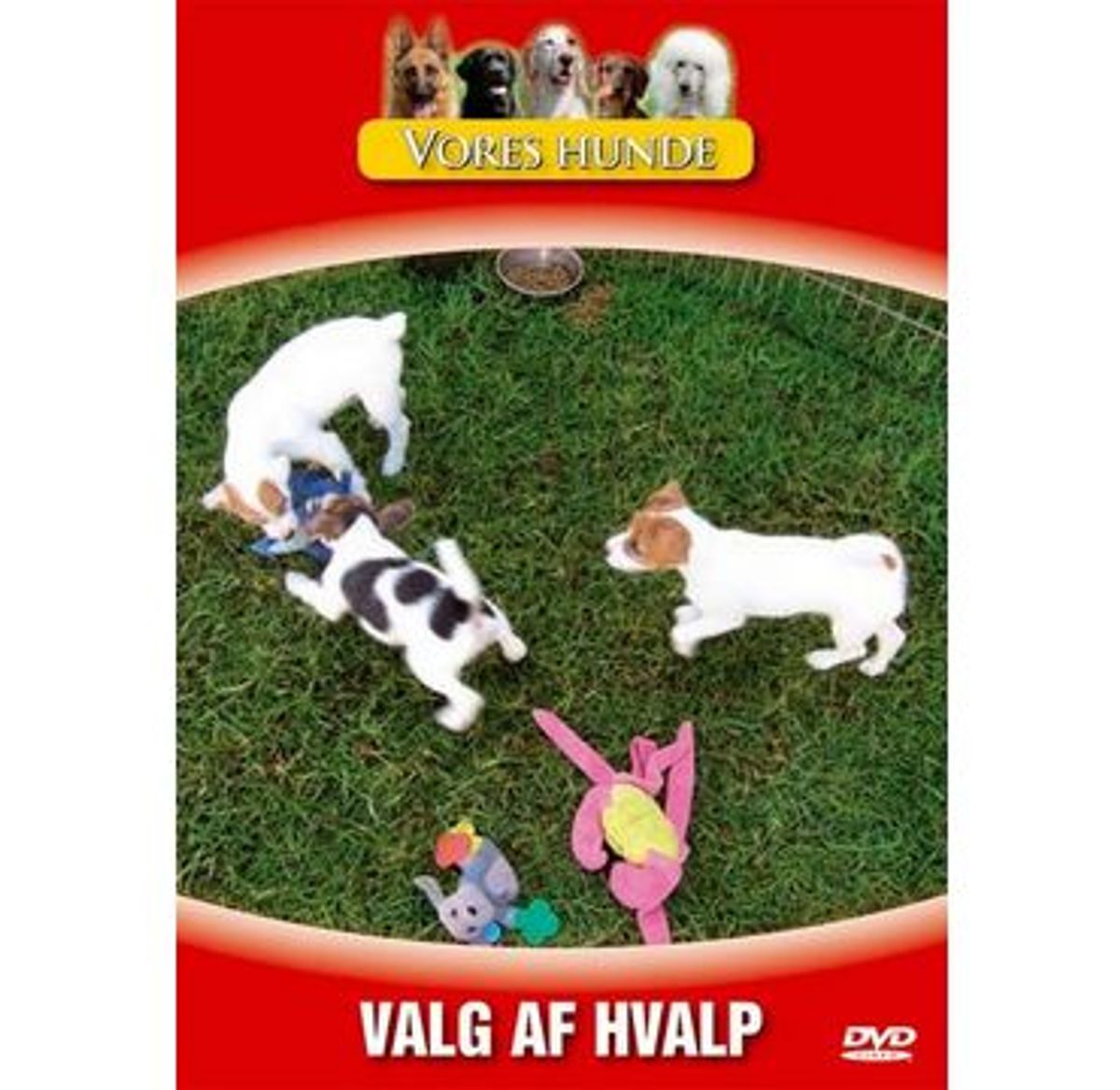 Vores hunde - Valg af hvalp. DVD.