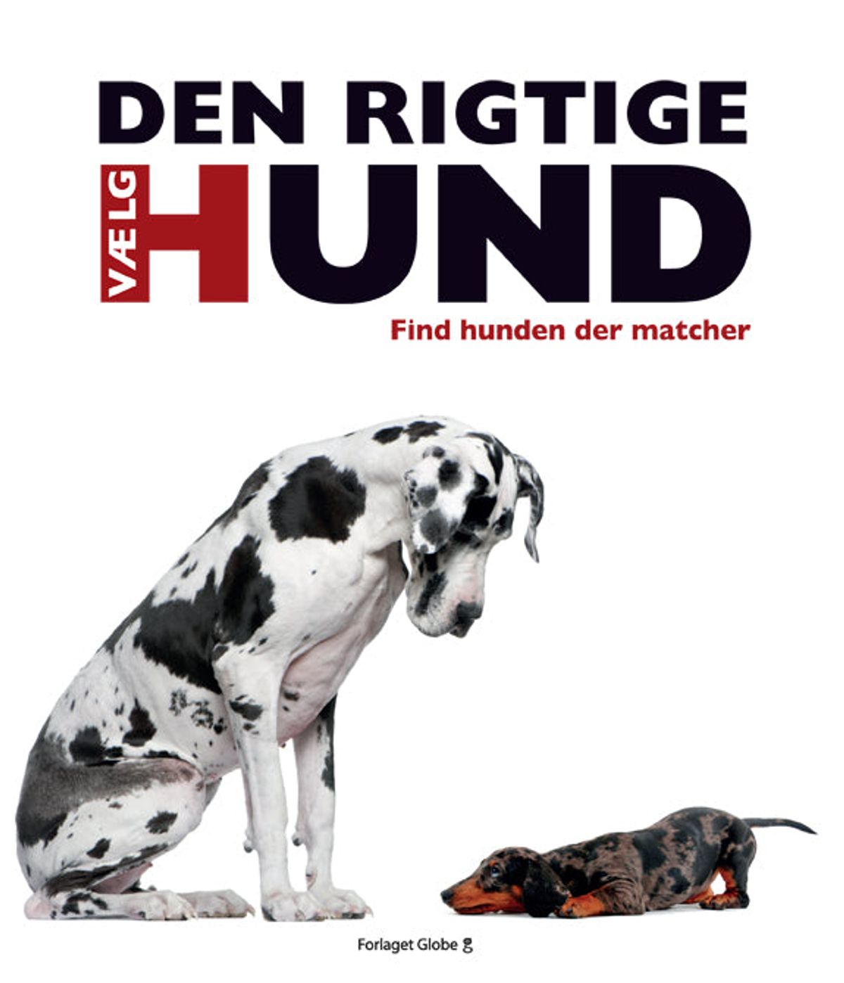 Vælg den rigtige hund