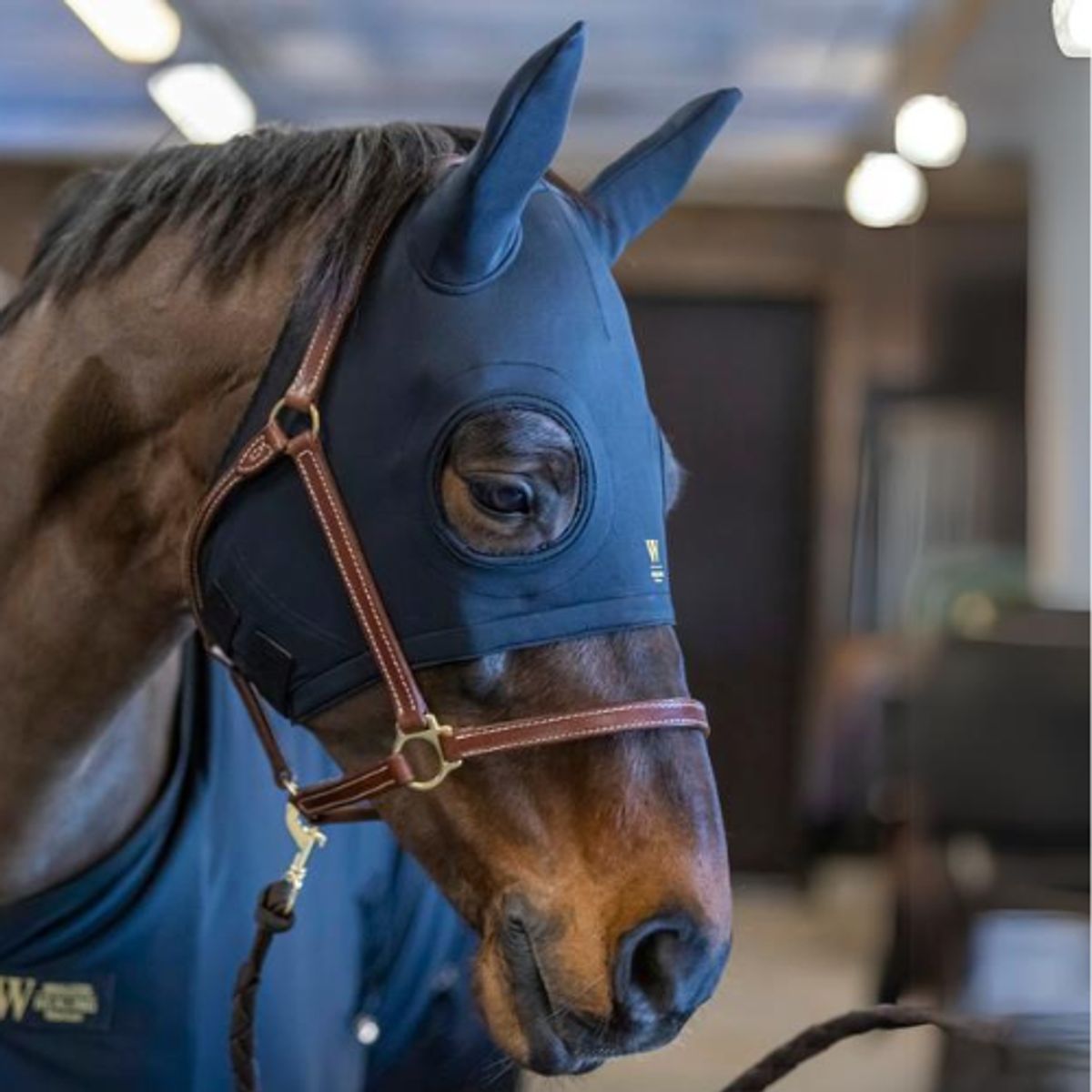 Wahlsten Healing Titanium maske med ører - Pony