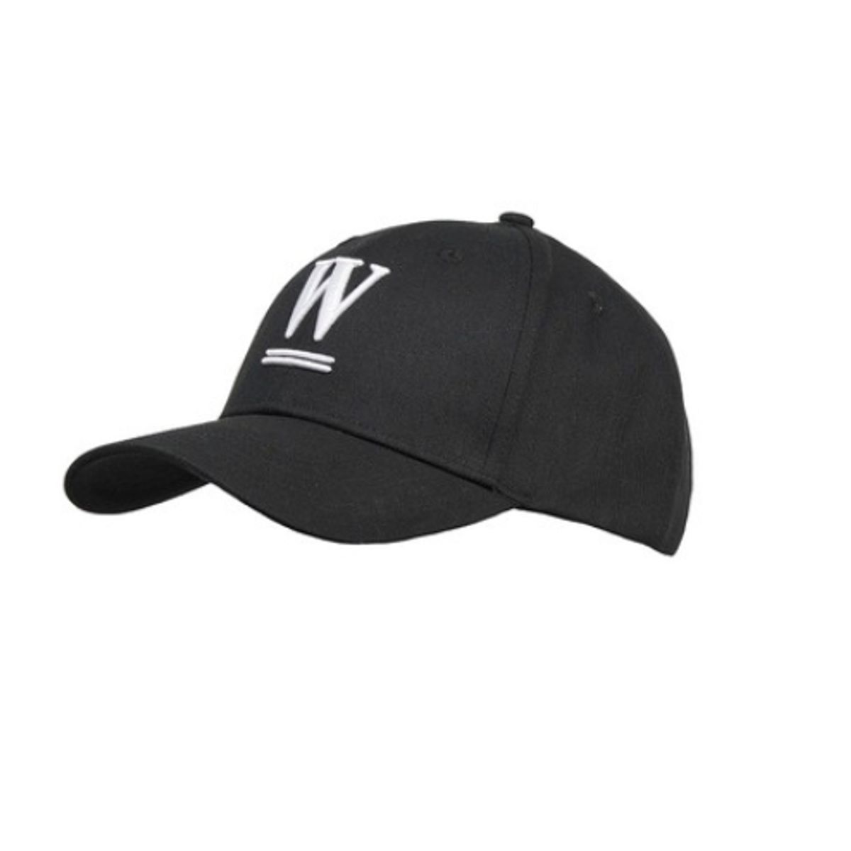 Wahlsten Logo Cap