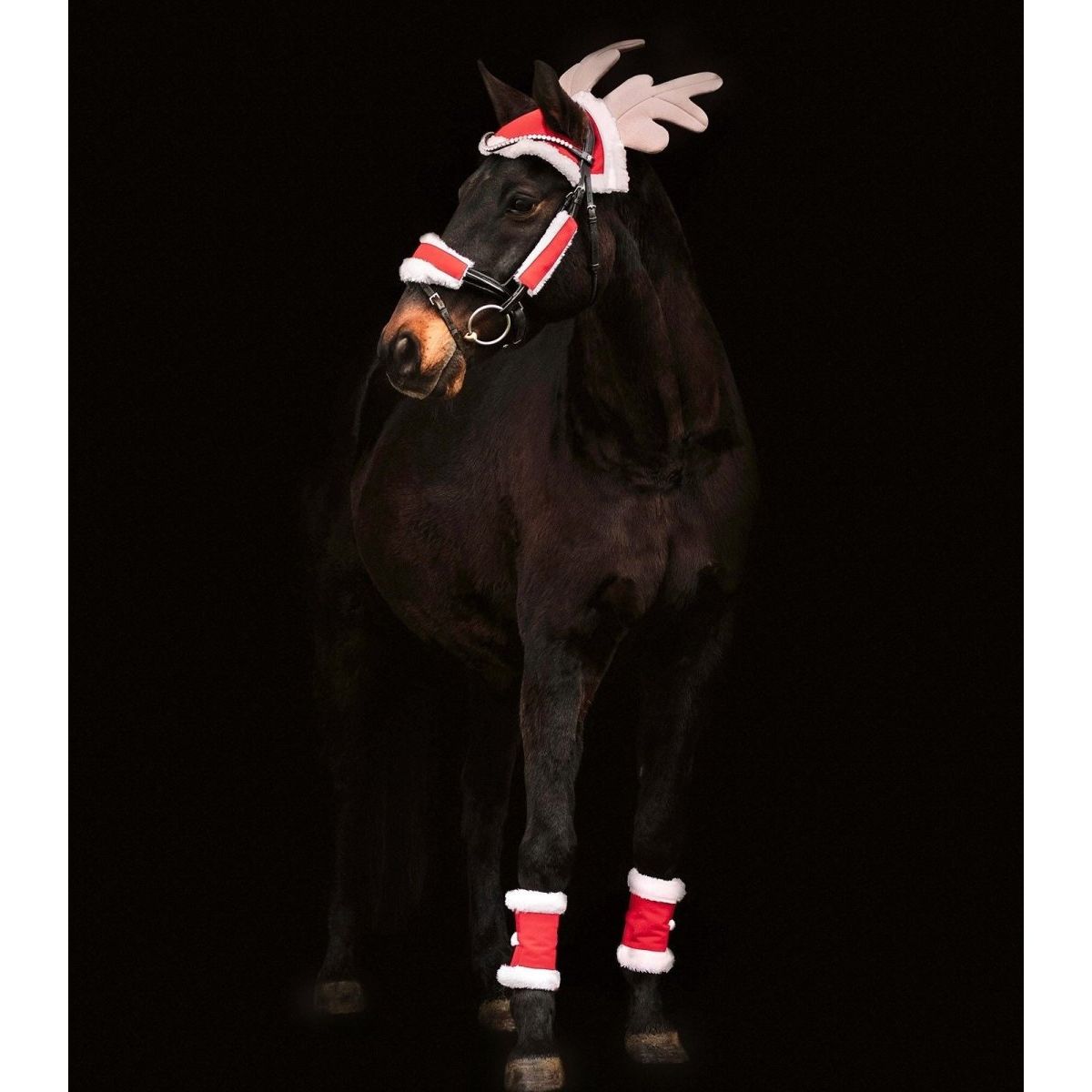 Waldhausen Christmas Set For Horses