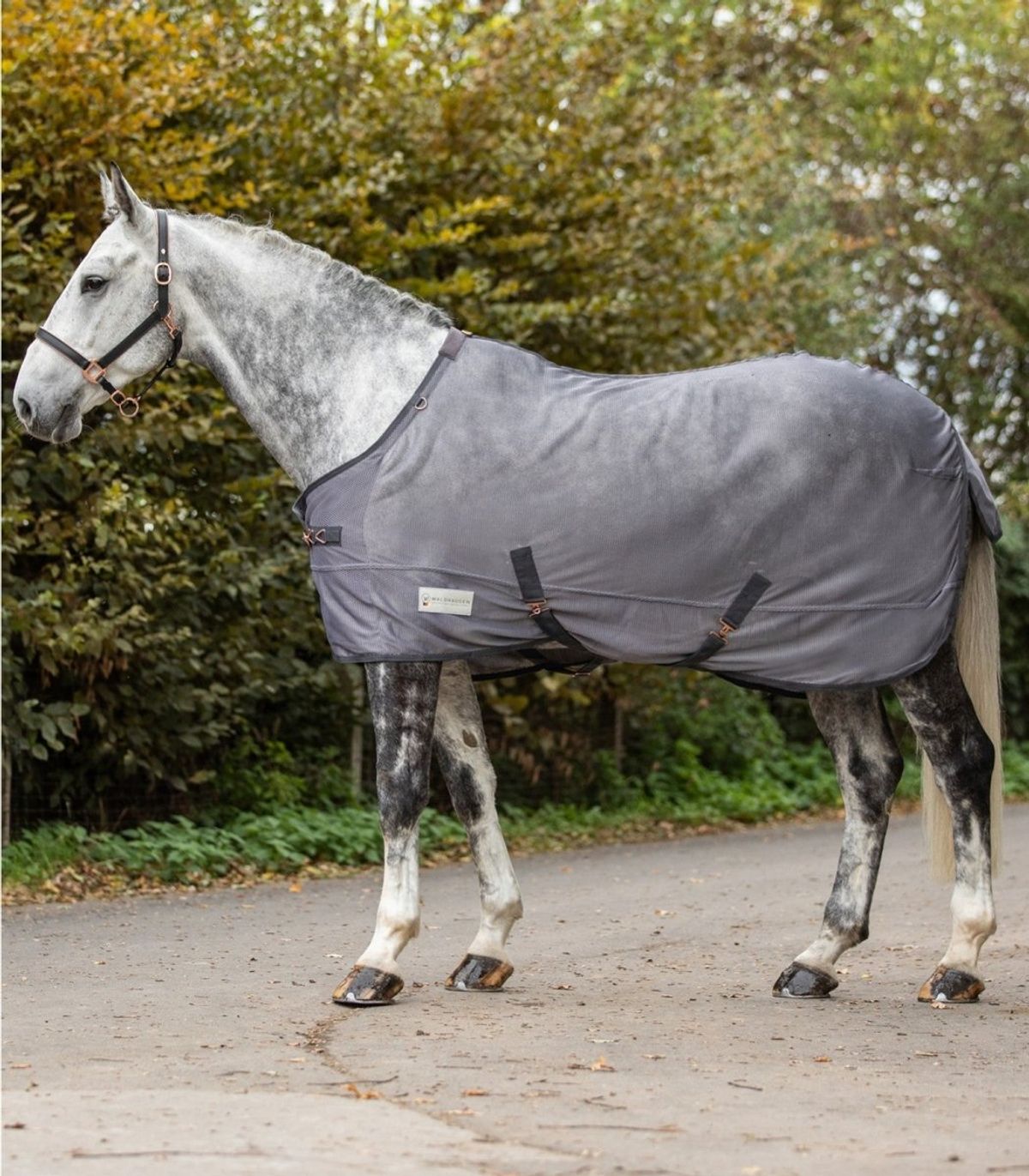 Waldhausen COMFORT FLY RUG WITH CROSSOVER STRAPS