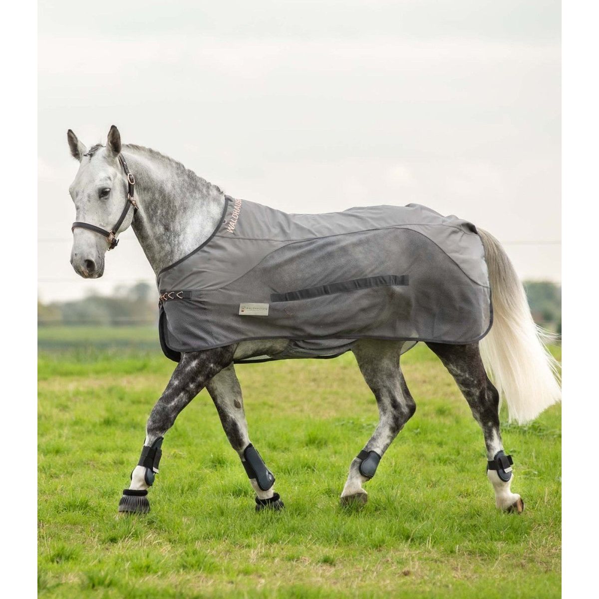 Waldhausen Comfort Rainsheet-Fly Rug