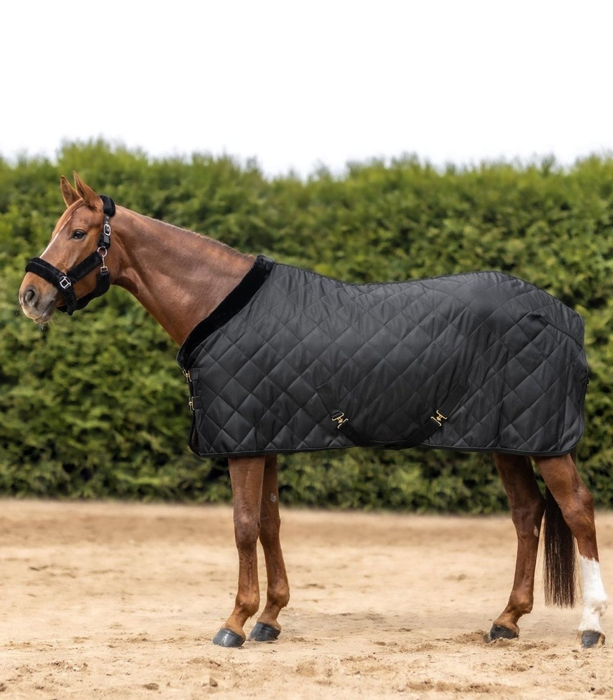 Waldhausen Exclusive Travel Rug