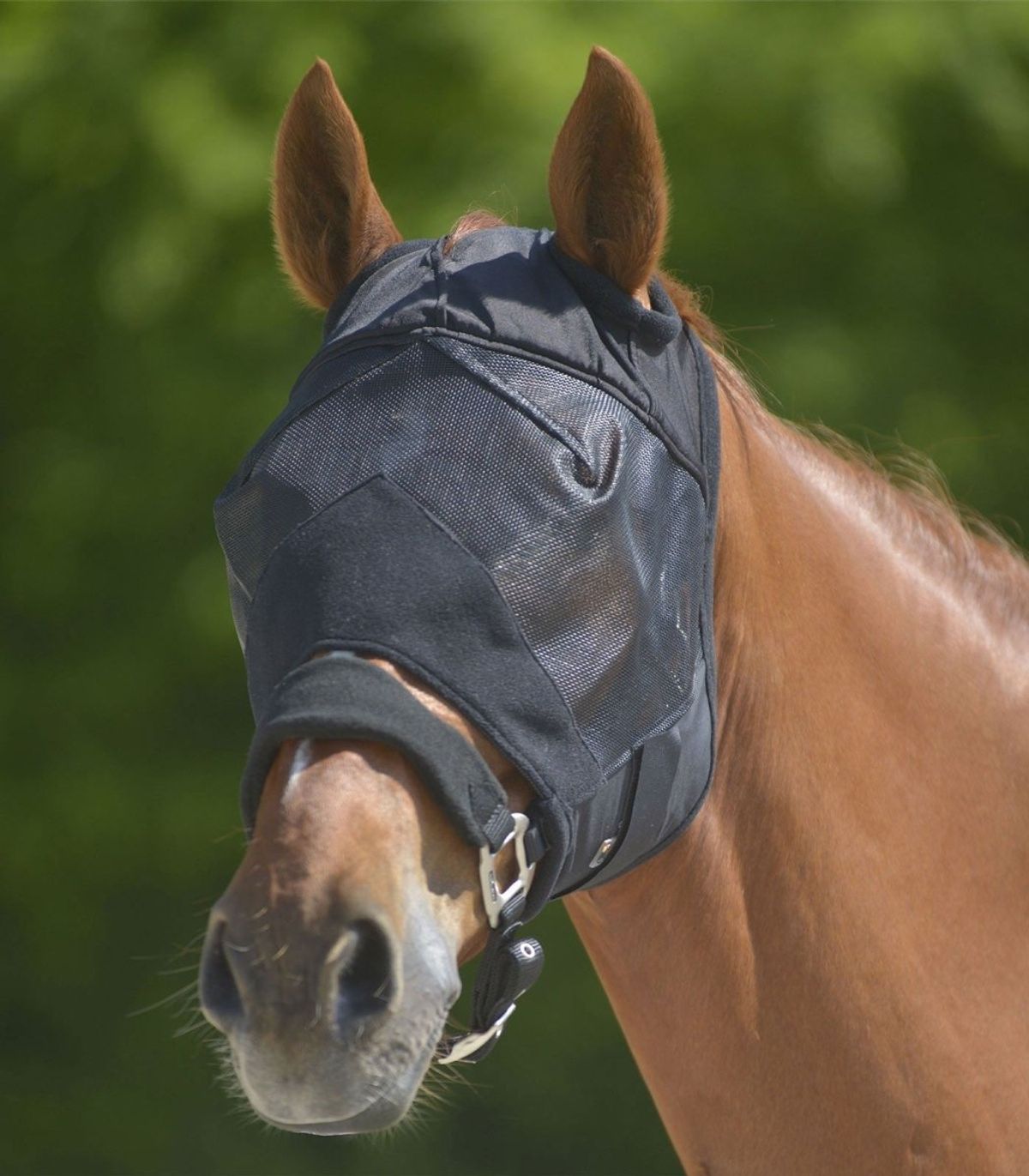 Waldhausen Premium Fly Mask without Ear Protection - Sort