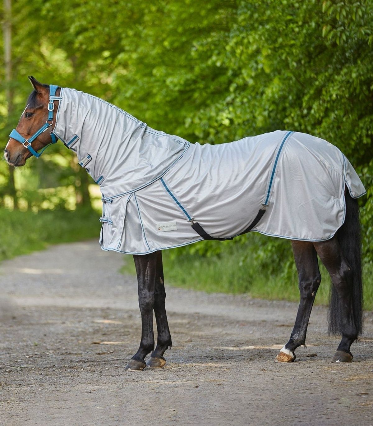 Waldhausen Protect Fly Rug Featuring a Detachable Neck