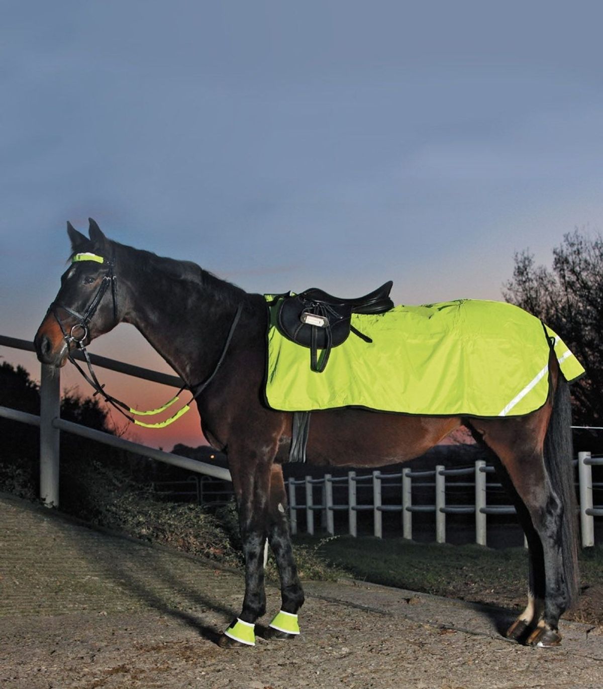 Waldhausen Reflex Exercise Sheet - Fleece