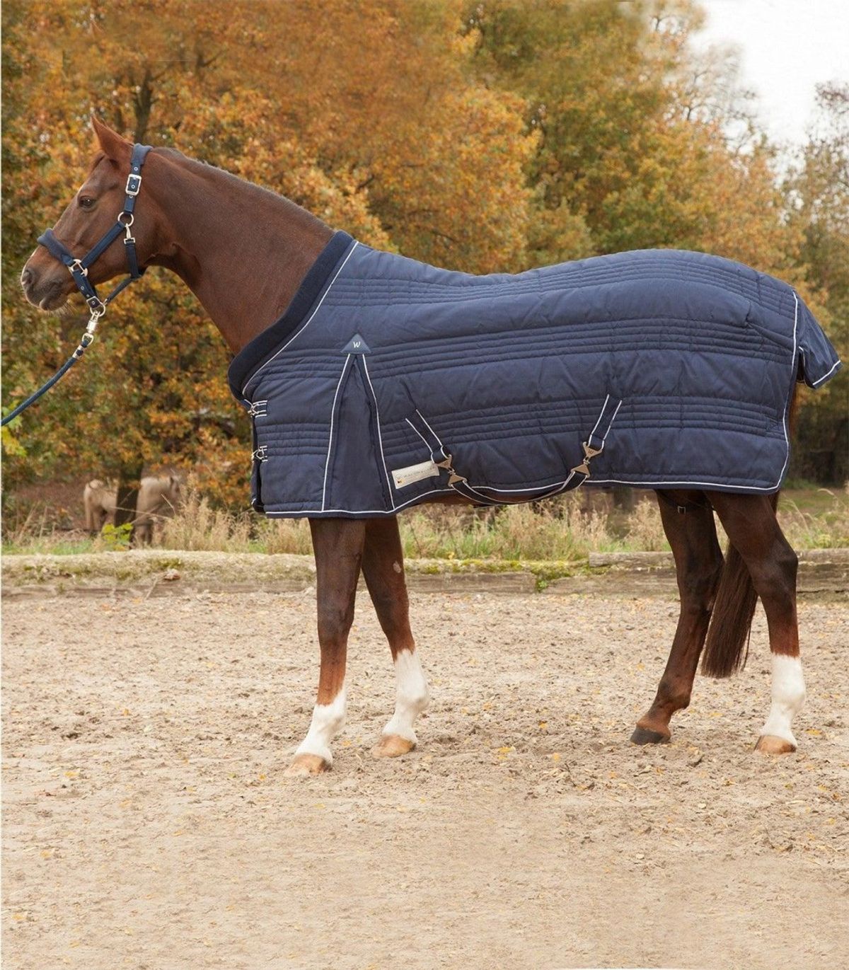 Waldhausen Stable Rug Comfort Line, 100 g - Night blue