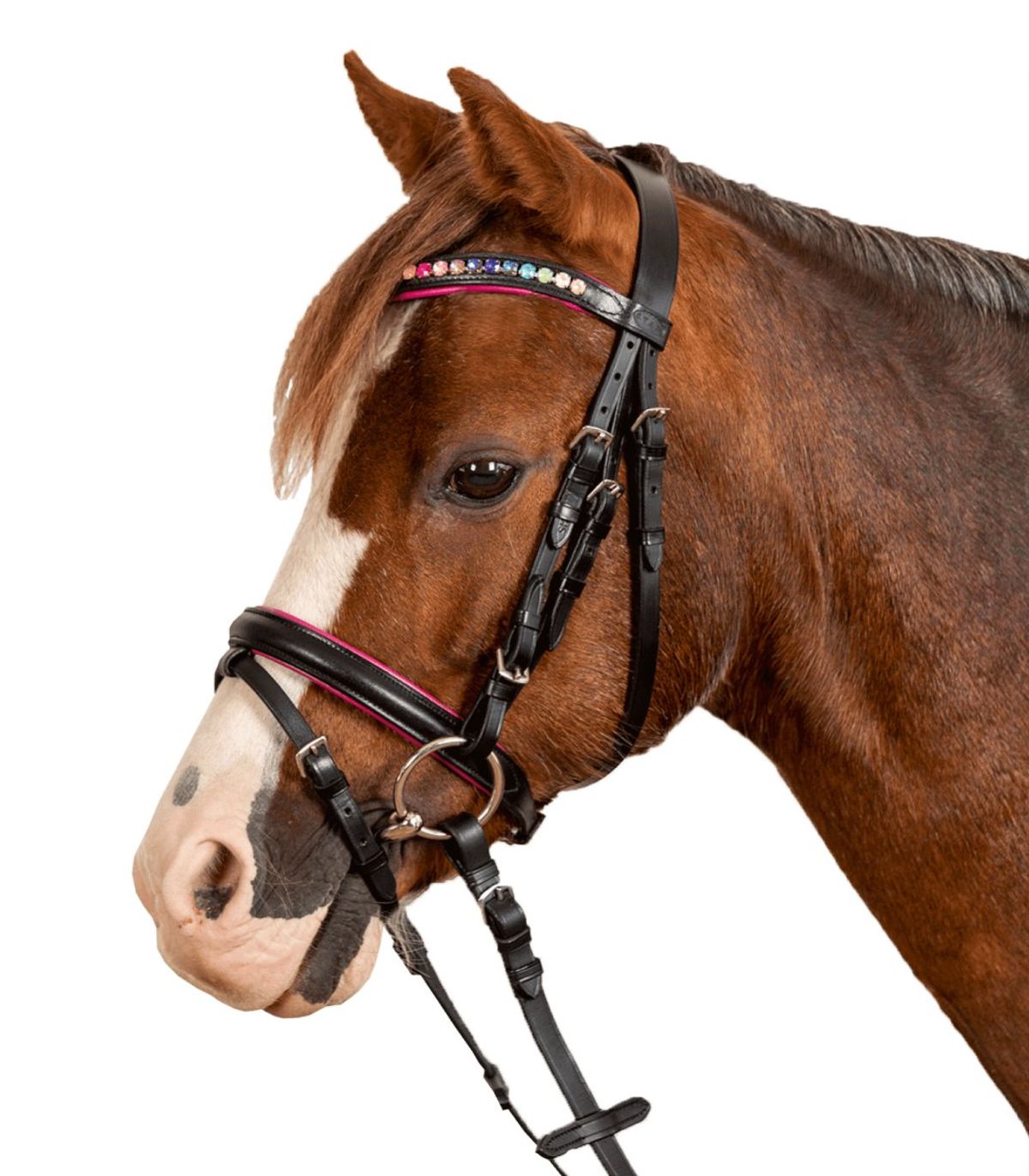 Waldhausen STAR Bridle Pinky comb.noseband - Sort