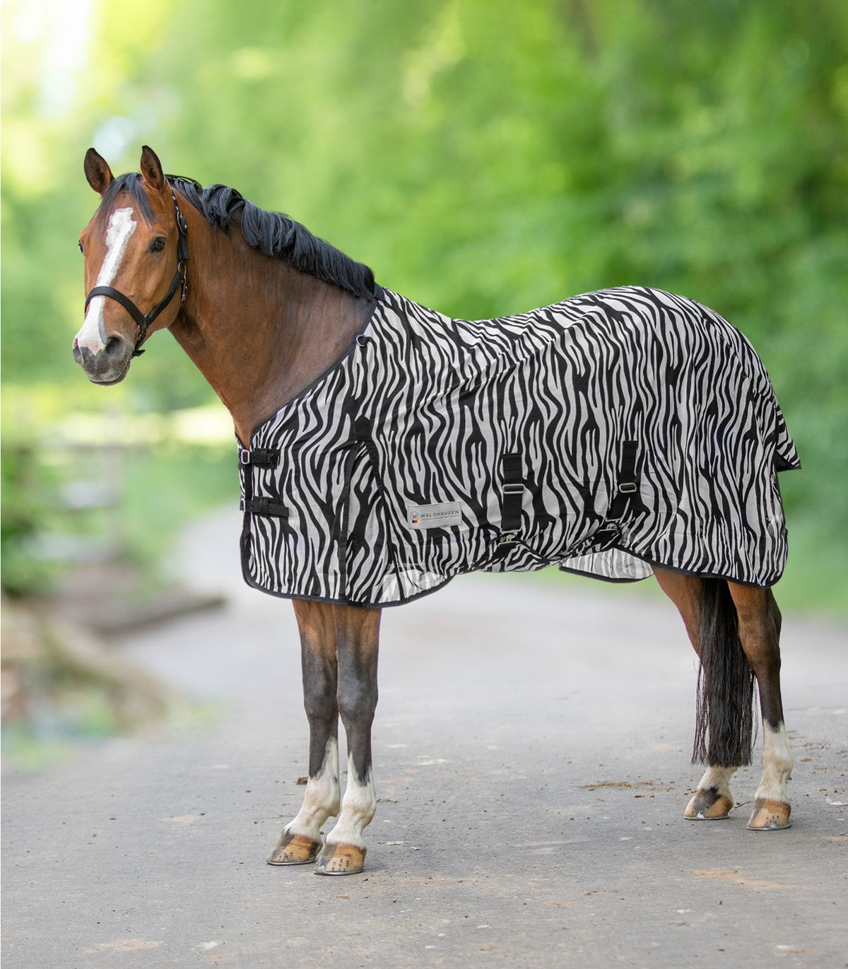 Waldhausen Zebra Insektdækken - 135 CM