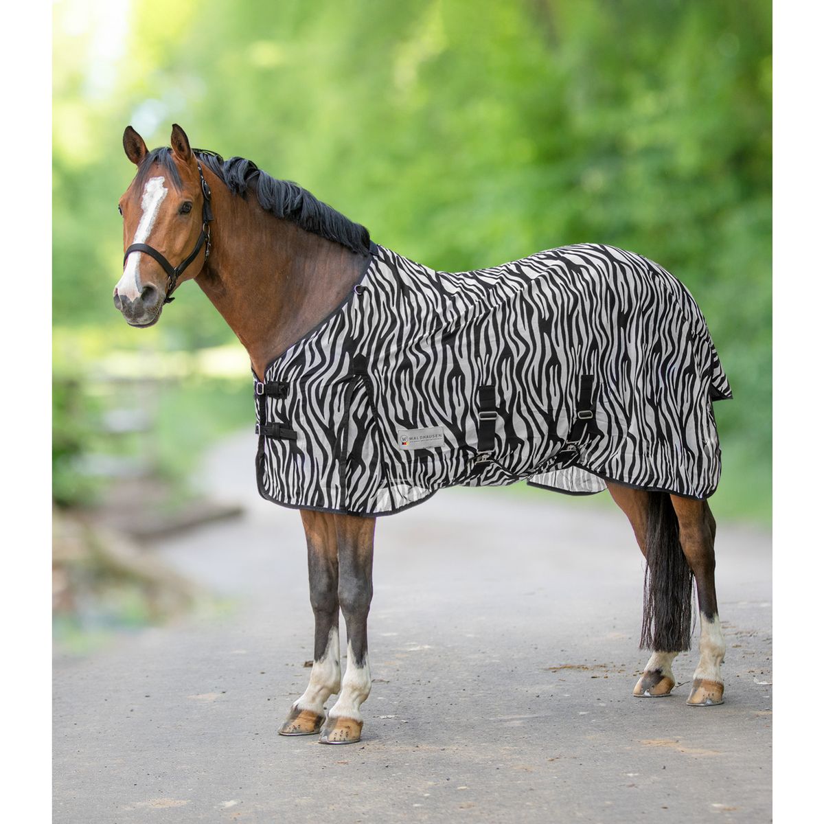 Waldhausen Zebra Insektdækken - 155 CM