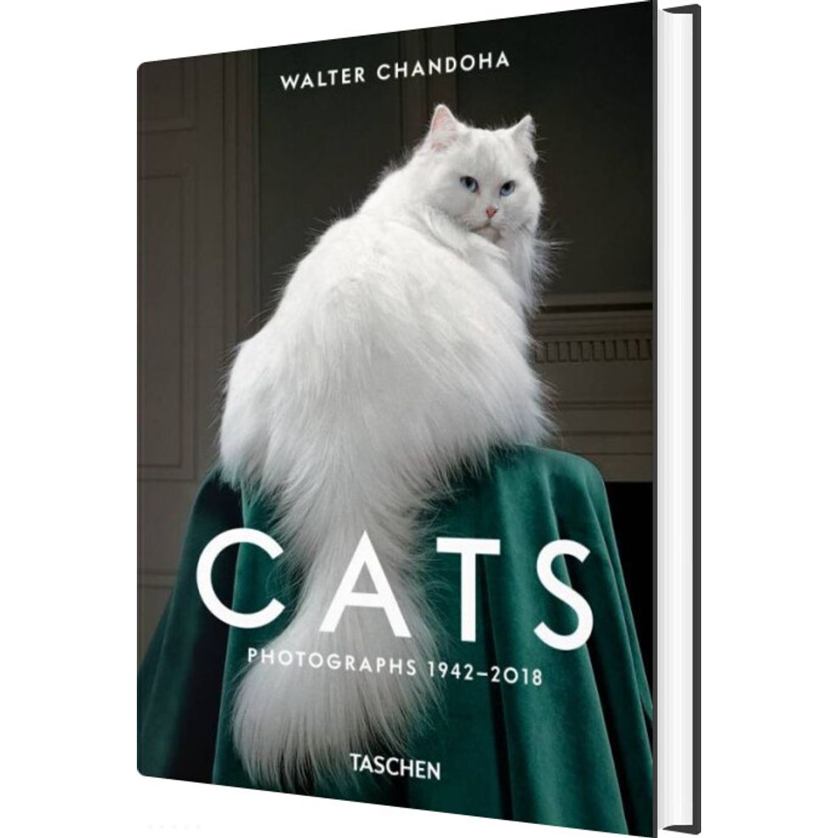 Walter Chandoha. Cats. Photographs 1942-2018 - Susan Michals - English Book