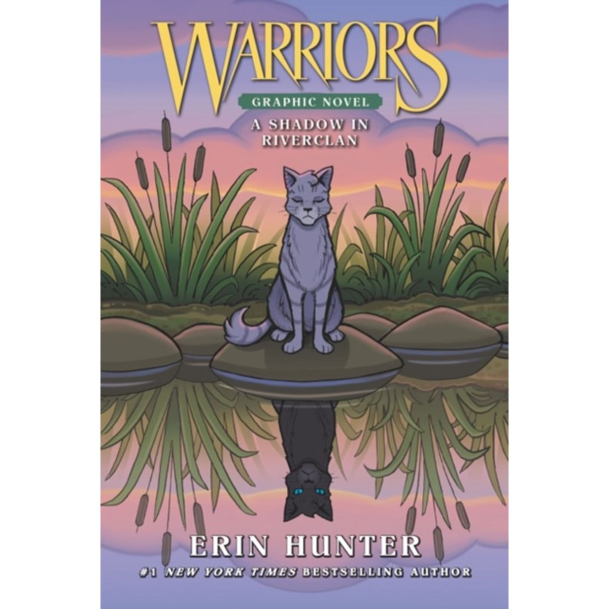 Warriors: A Shadow in RiverClan (Full-Color Adventure)