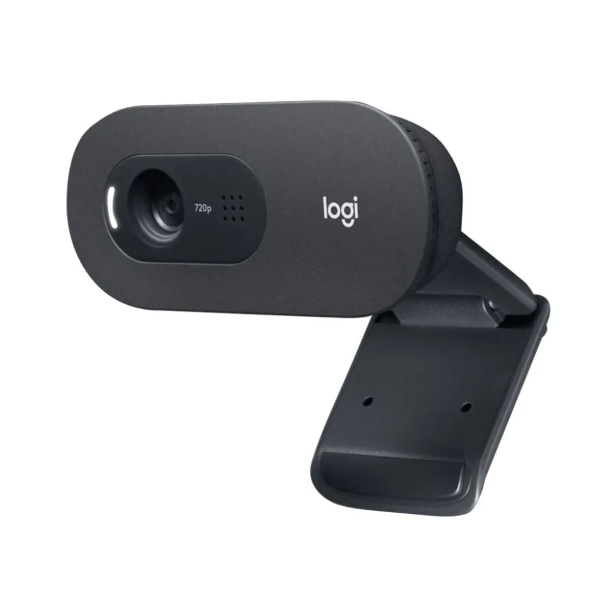 Webcamera Logitech C505e Sort