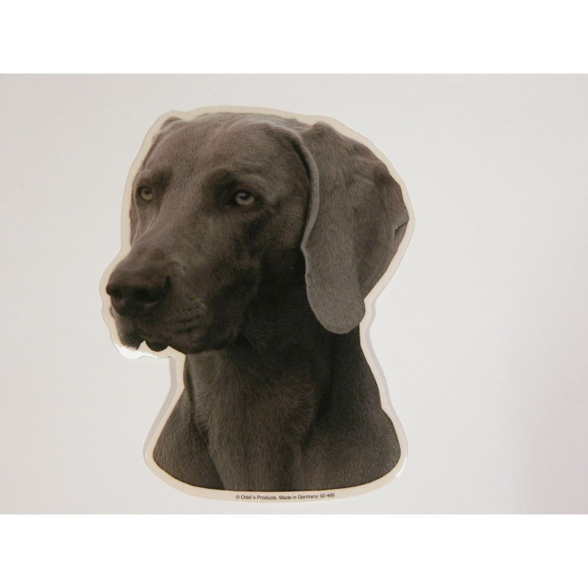 Weimaraner. Vælg: klistermærke, nøglering, broche, slipsenål, mm