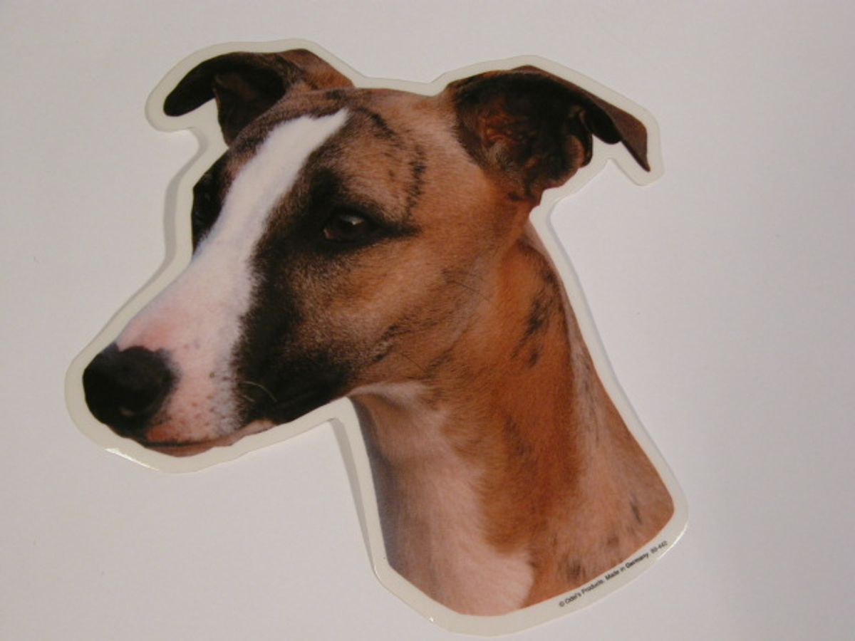 Whippet. Vælg: klistermærke, nøglering, broche, slipsenål, mm