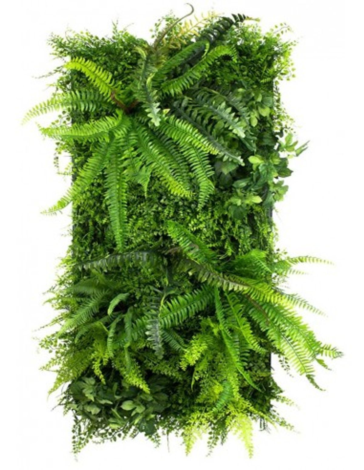 Wild Fern Plantevæg med kunstige planter 100 x 50 cm