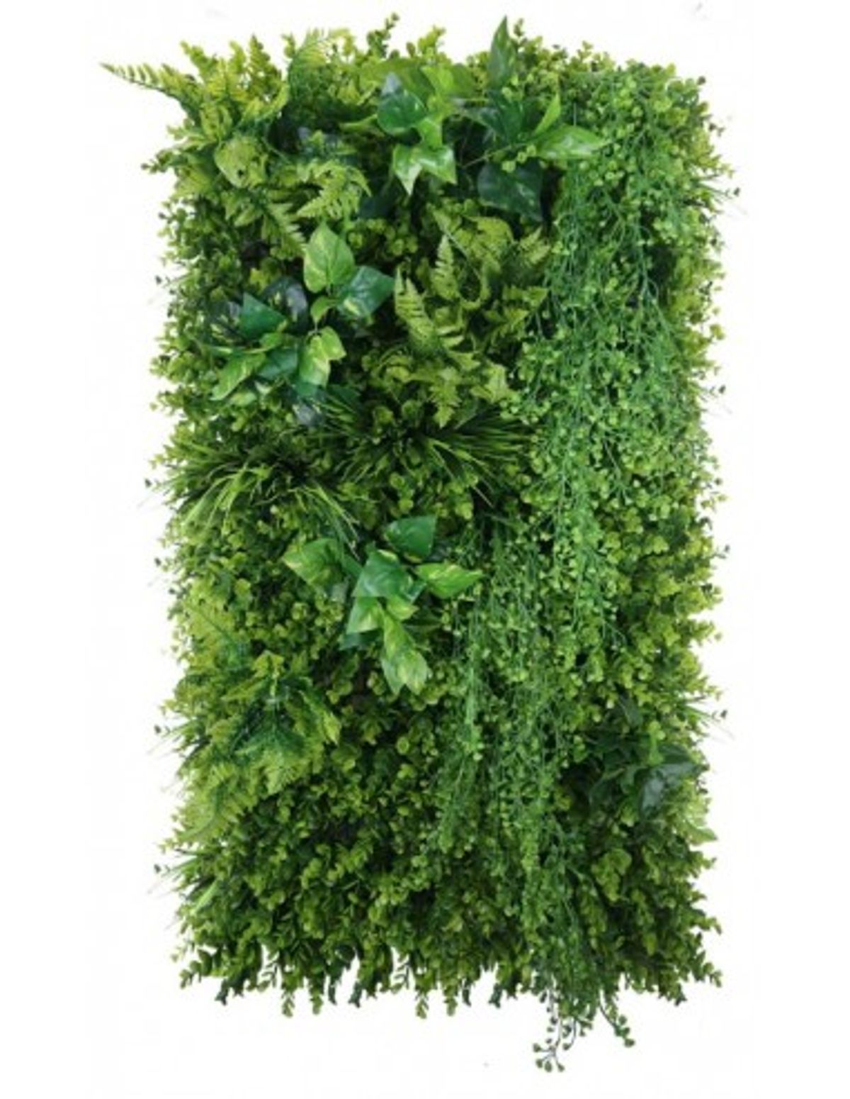 Wild Green Plantevæg med kunstige planter 100 x 50 cm