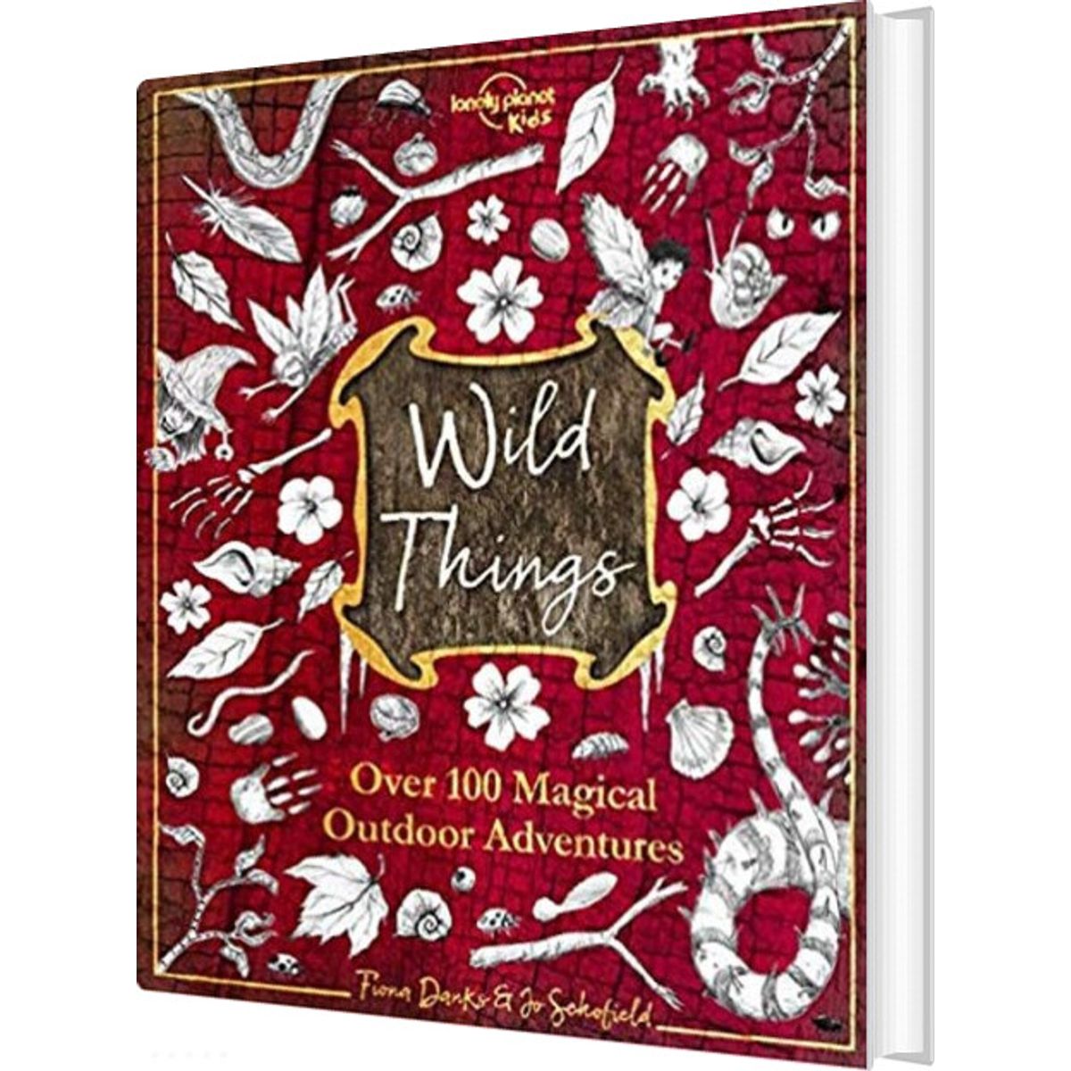 Wild Things: Over 100 Magical Outdoor Adventures - Lonely Planet - English Book