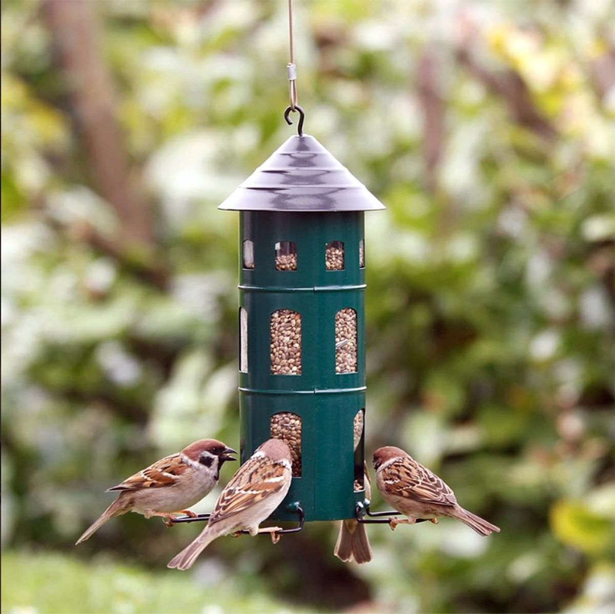 Wildlife Garden - Metal Foderautomat til foder - grøn