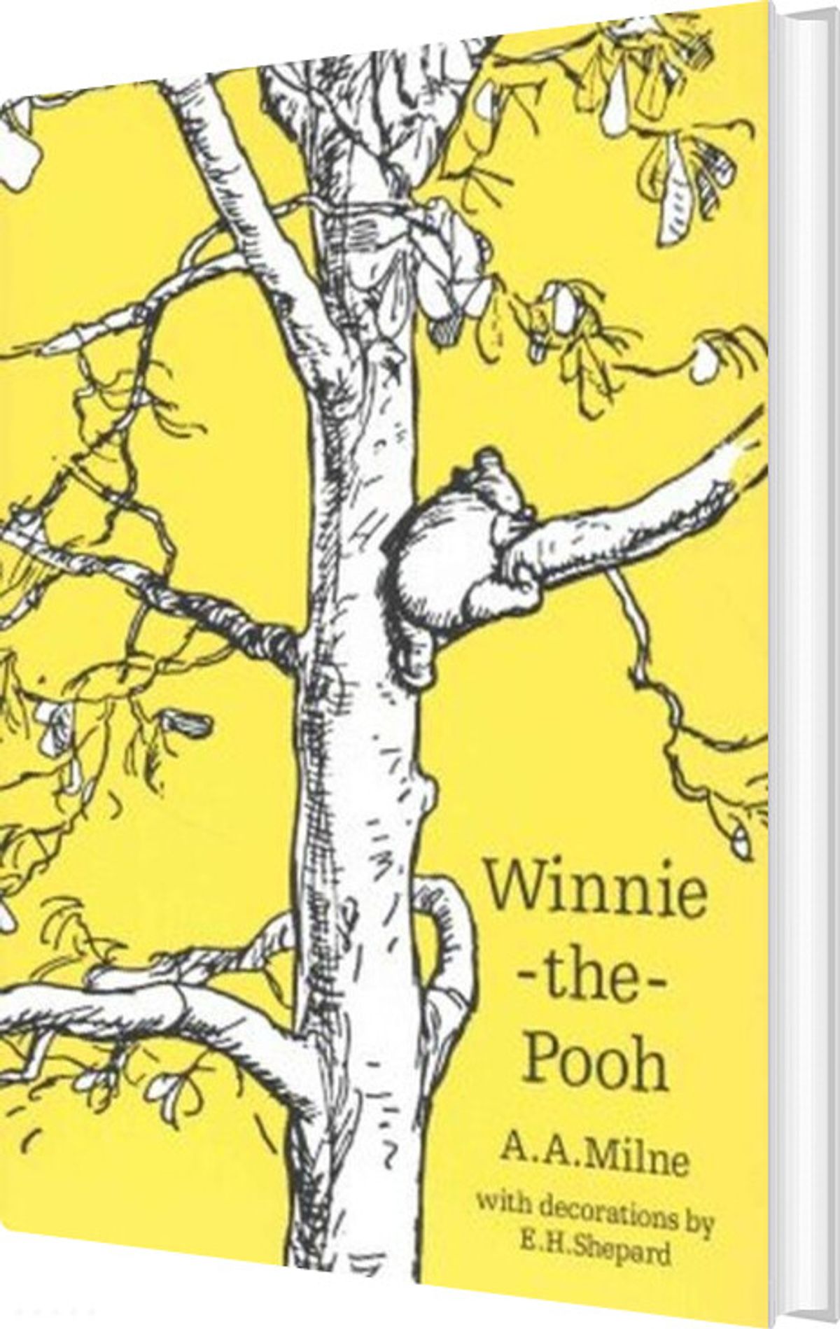 Winnie-the-pooh - A. A. Milne - English Book