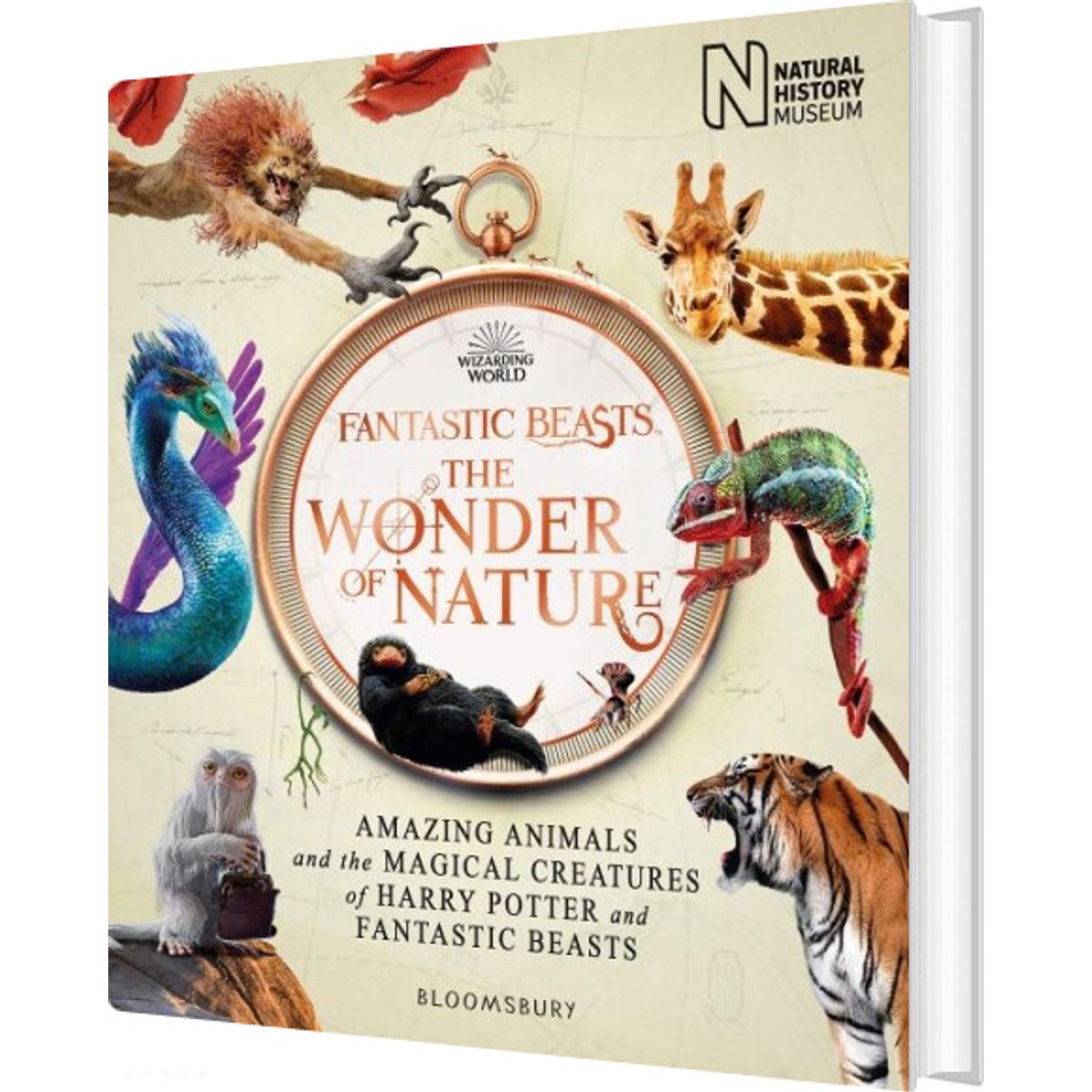 Wonder Of Nature : The Book Of The Exhibition - Natural History Museum - English Book