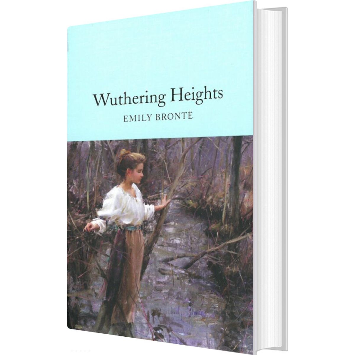 Wuthering Heights - Emily Brontë - English Book