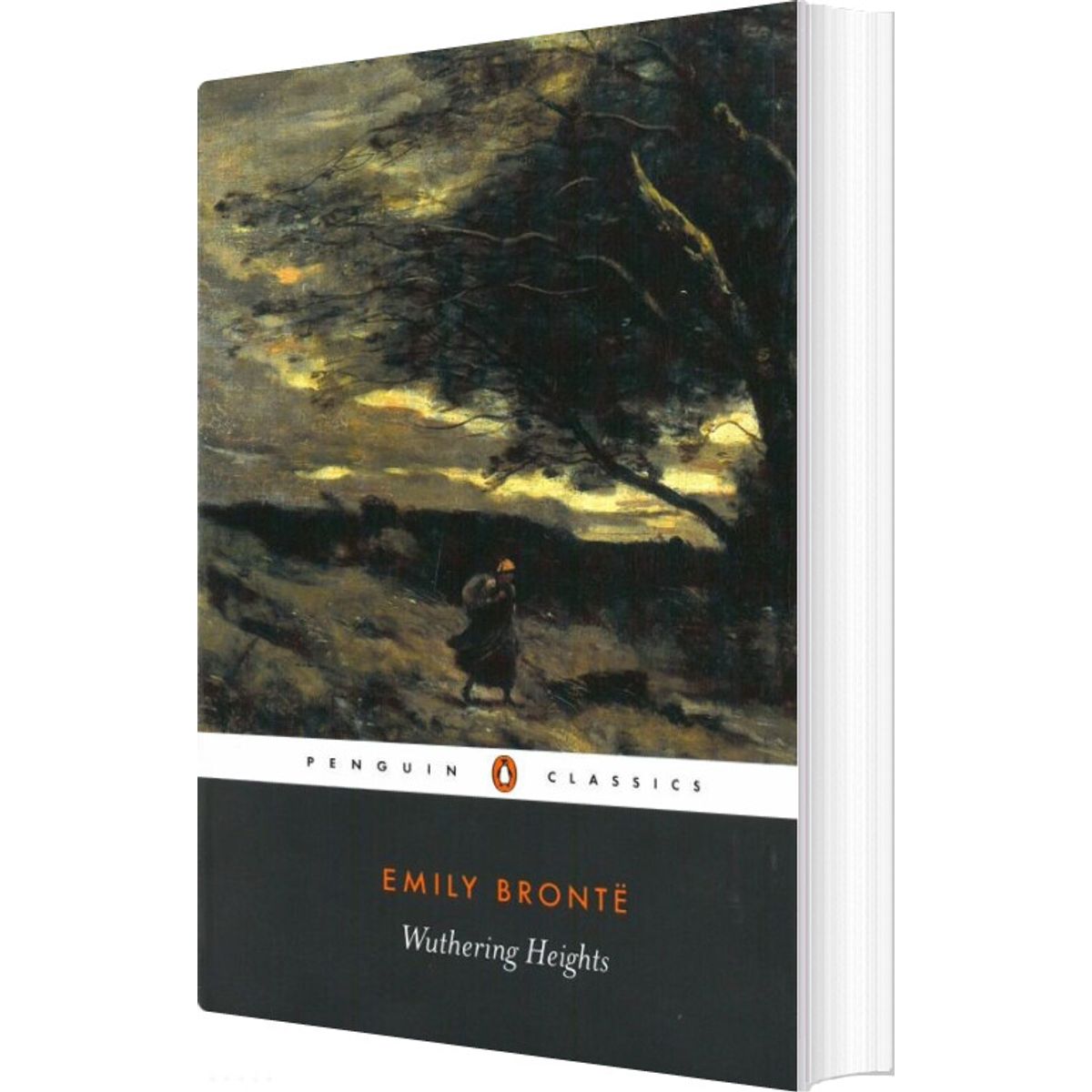 Wuthering Heights - Emily Brontë - English Book