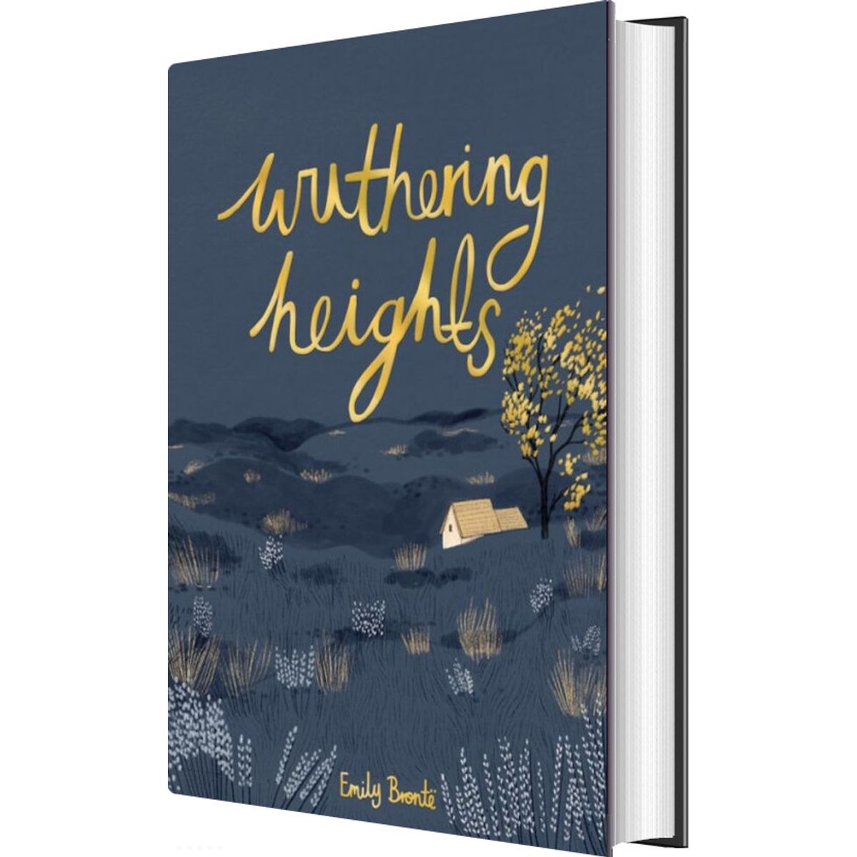 Wuthering Heights - Emily Brontë - English Book