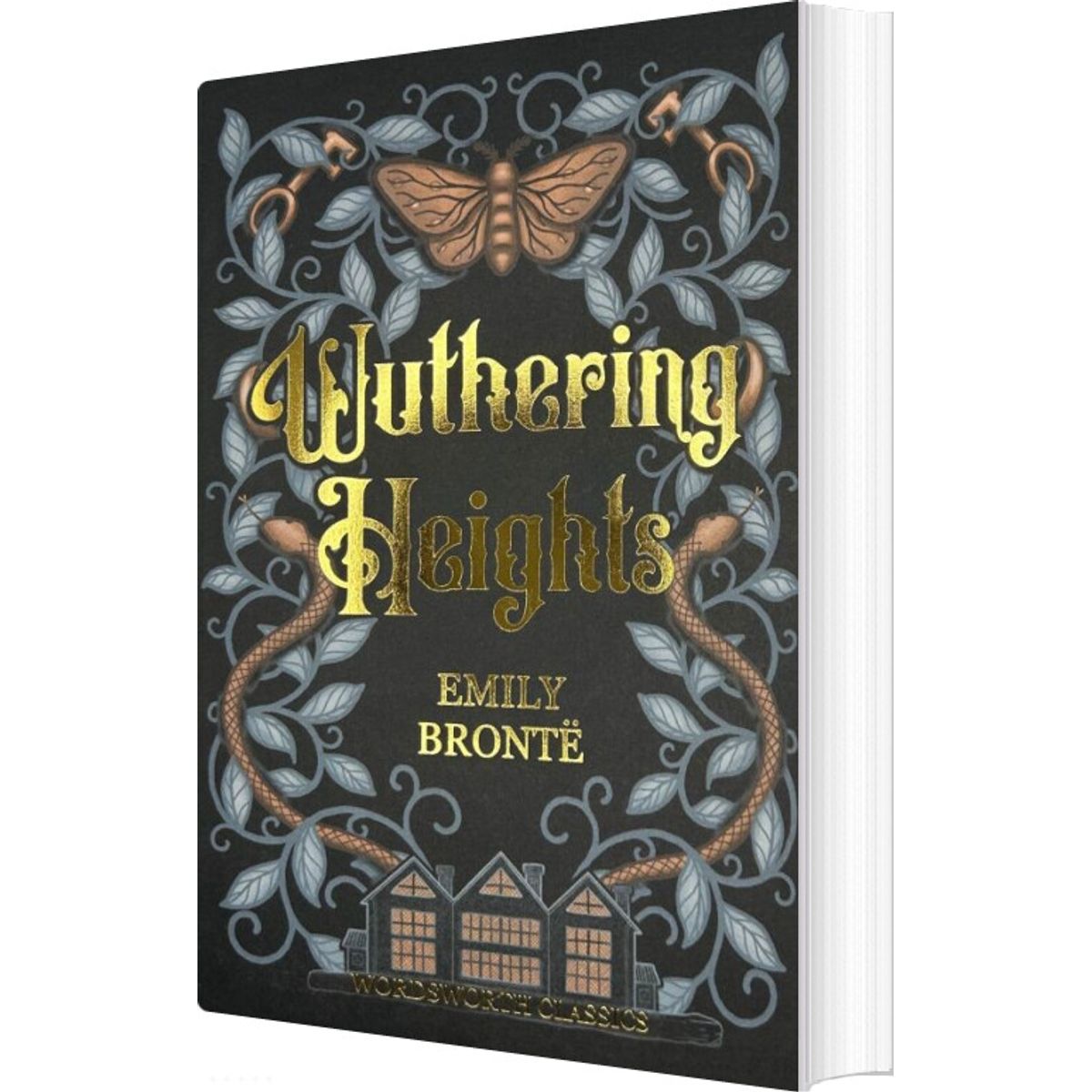 Wuthering Heights - Emily Brontë - English Book