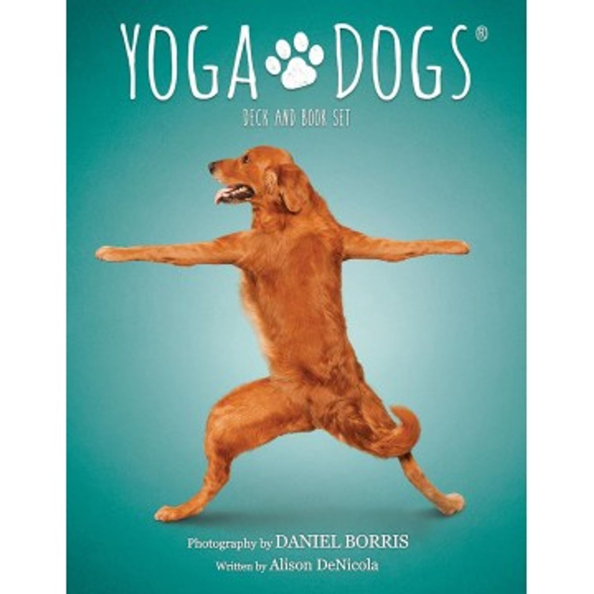 Yoga Dogs kort - Inspiration til din yoga - GodKarmaShop