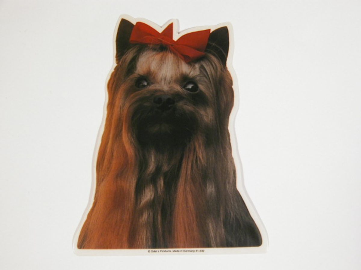 Yorkshire Terrier, hv. Vælg: klistermærke, nøglering, broche, slipsenål, mm