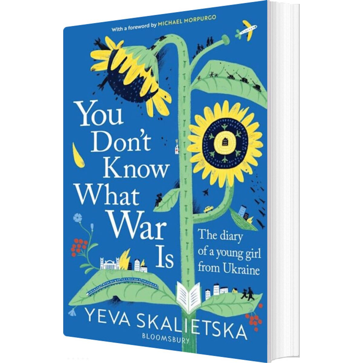 You Don't Know What War Is - Yeva Skalietska - English Book