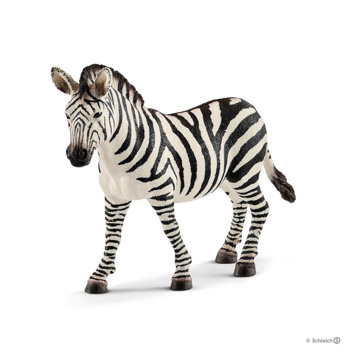 Zebrahoppe