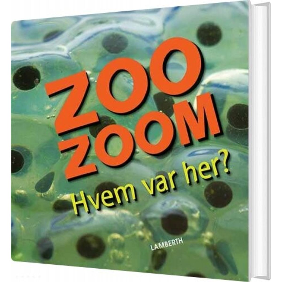 Zoo-zoom - Hvem Var Her? - Christa Pöppelmann - Bog