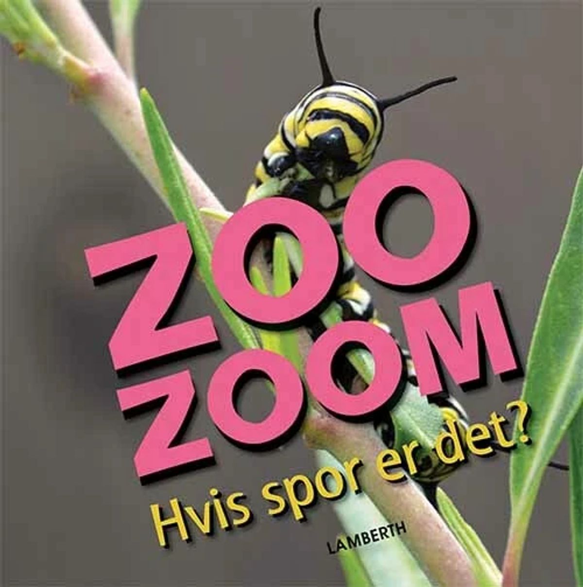 Zoo-Zoom - Hvis spor er det?