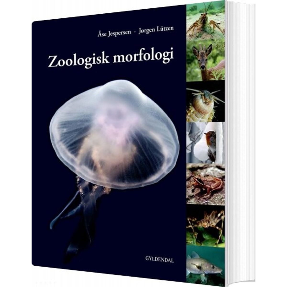 Zoologisk Morfologi - åse Jespersen - Bog