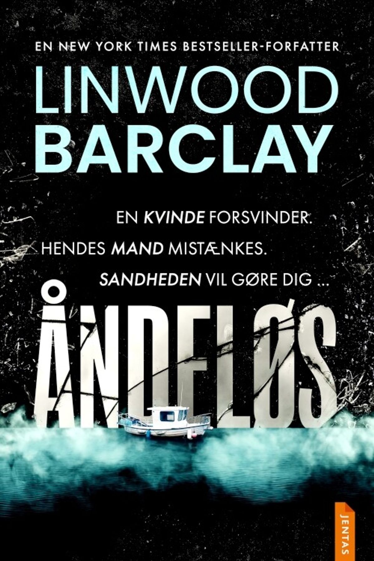 åndeløs - Linwood Barclay - Bog