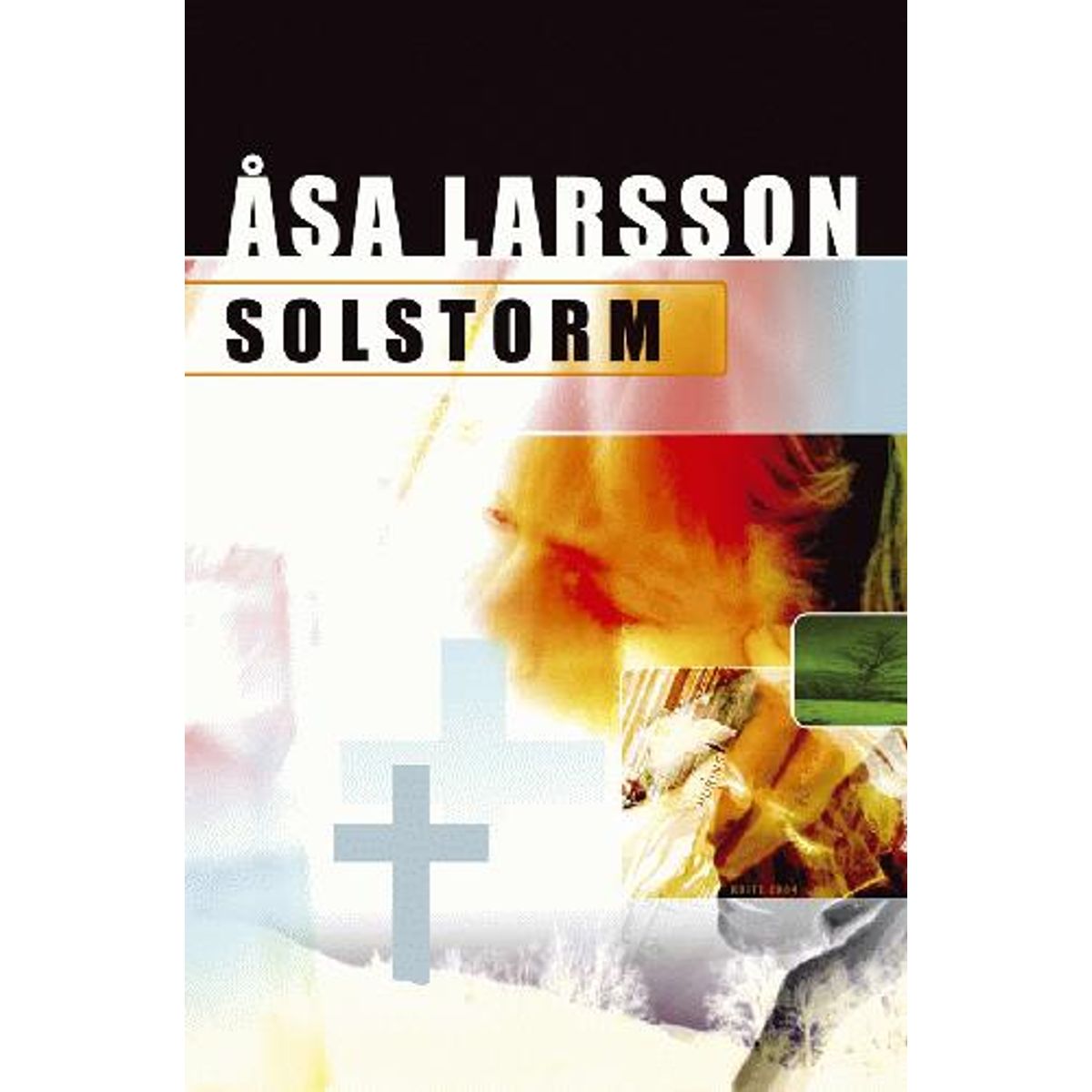 Åsa Larsson - Solstorm