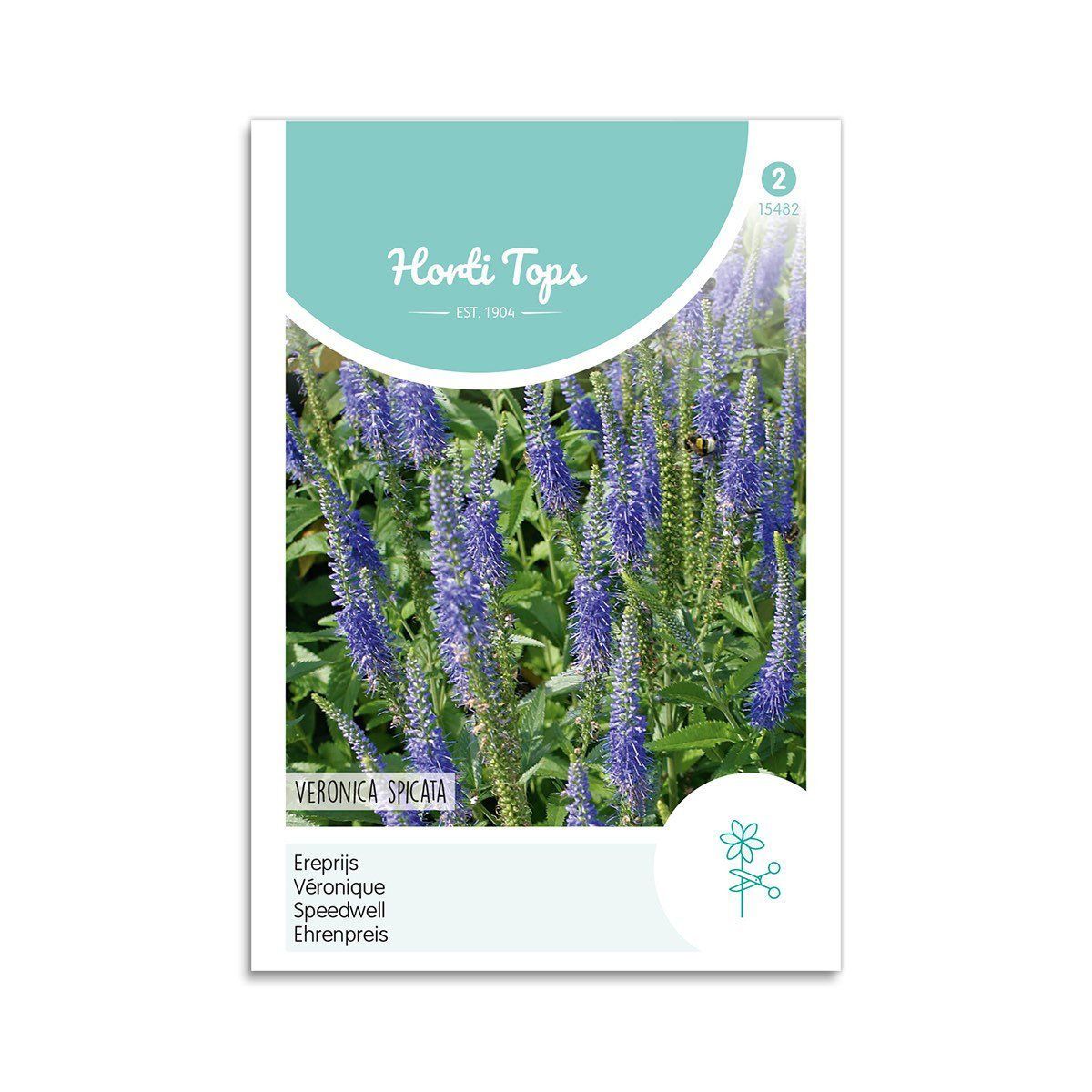 Ærenpris frø "Blue" - Horti Tops