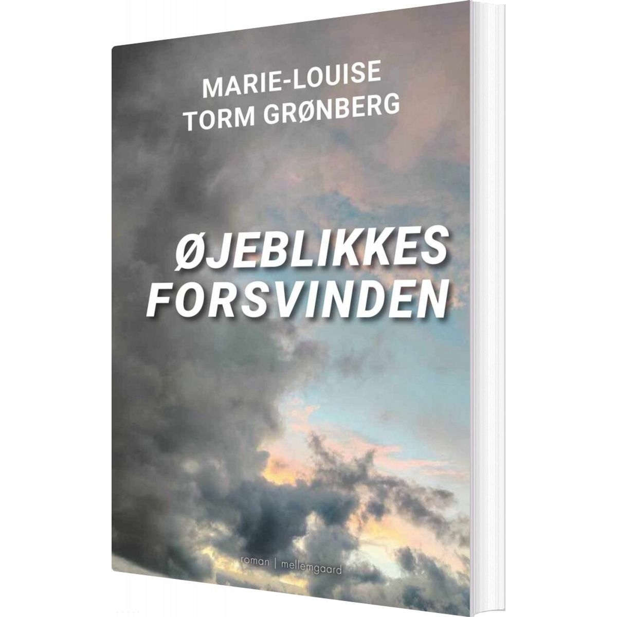 øjeblikkes Forsvinden - Marie-louise Torm Grønberg - Bog