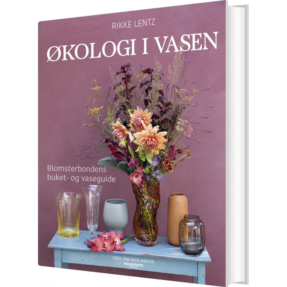 økologi I Vasen - Rikke Lentz - Bog