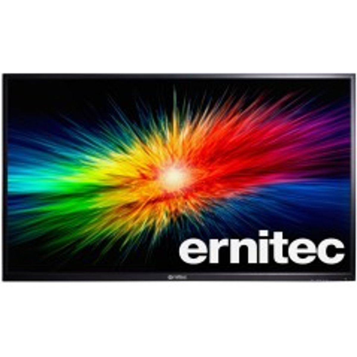 Ernitec 24'' Surveillance monitor for