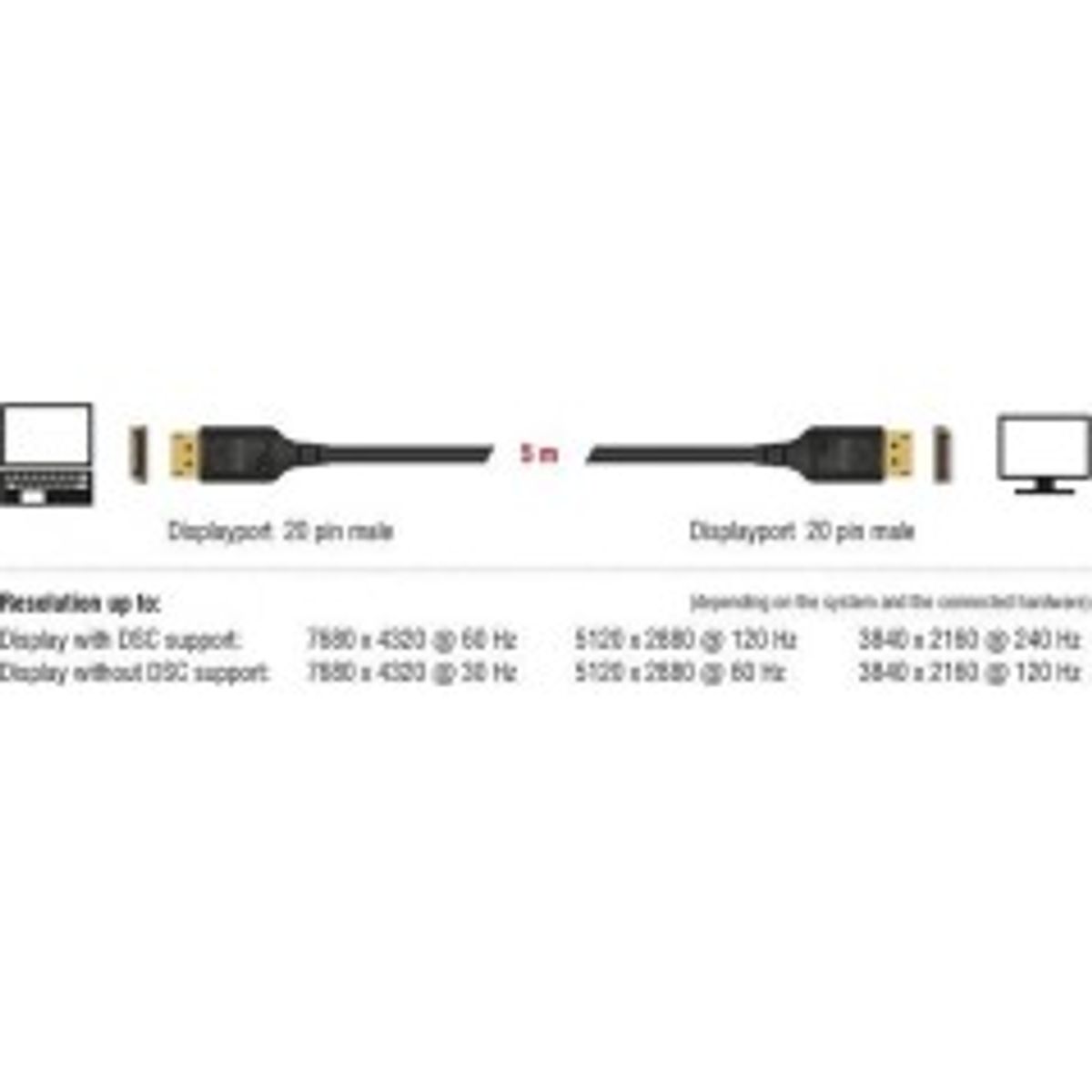 DeLOCK 20 pin DisplayPort han - 20 pin DisplayPort han 3 m Sort