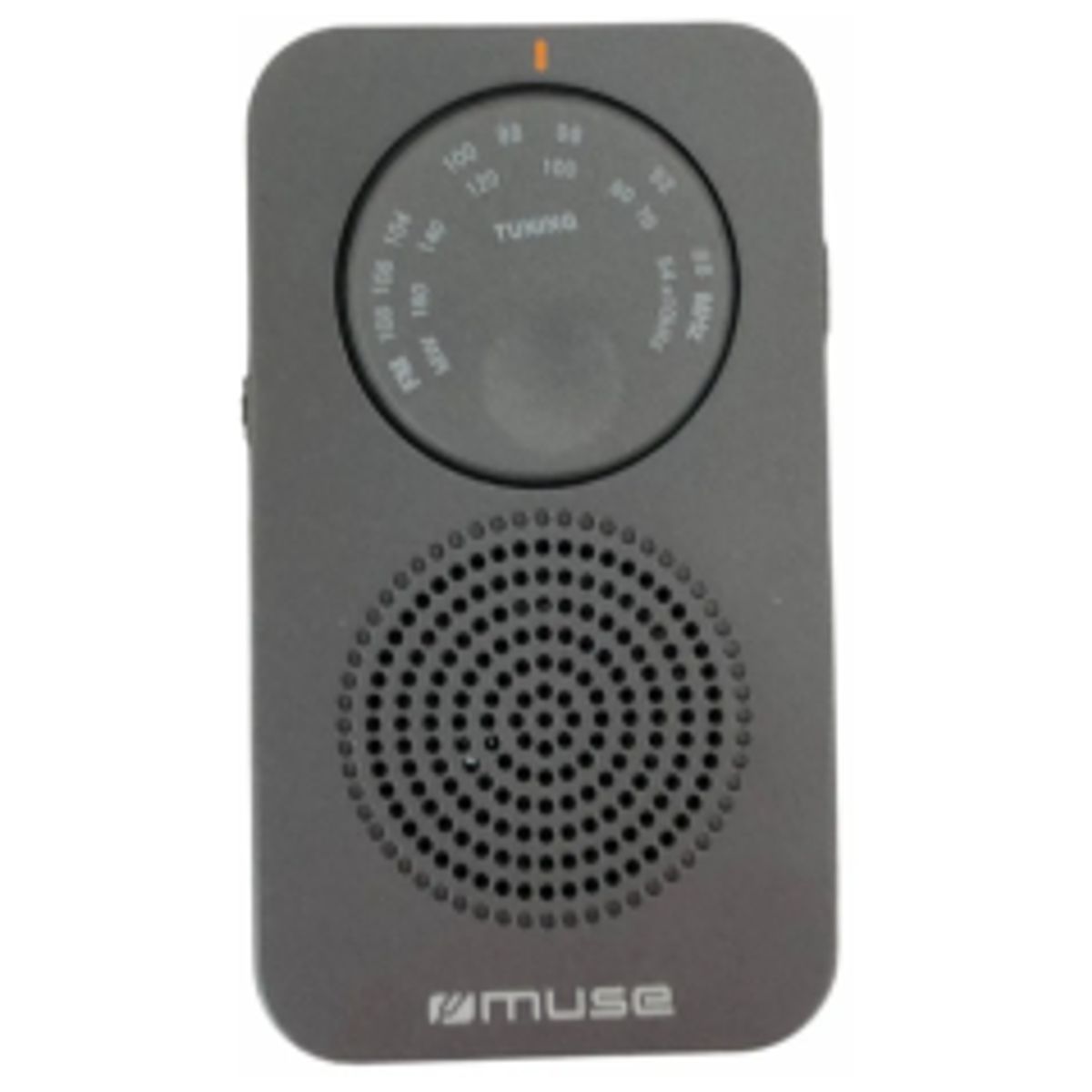 Muse M-01 RS Privat radio