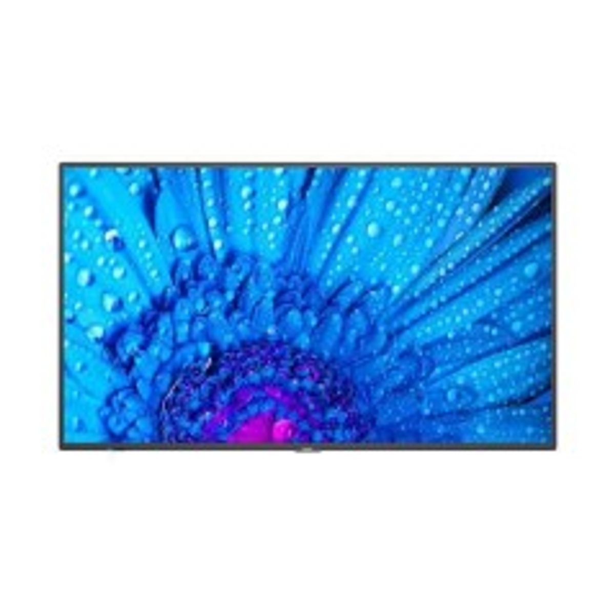 Sharp/NEC M491, 49" M-Series LFD, UHD