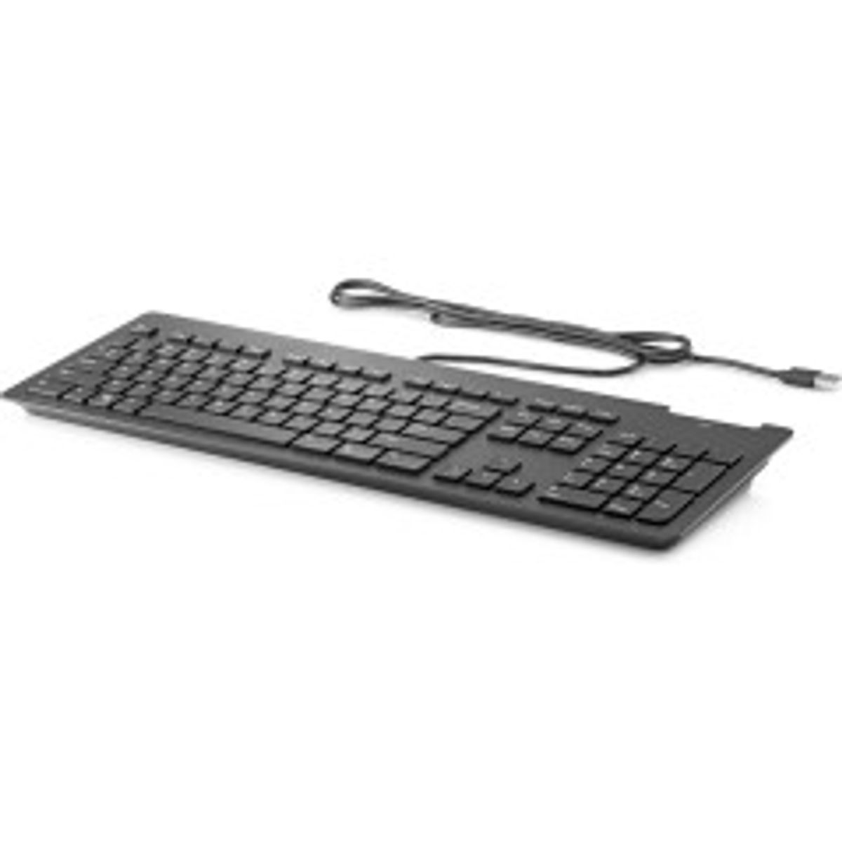 HP USB SMARTCARDKEYBOARD CCID