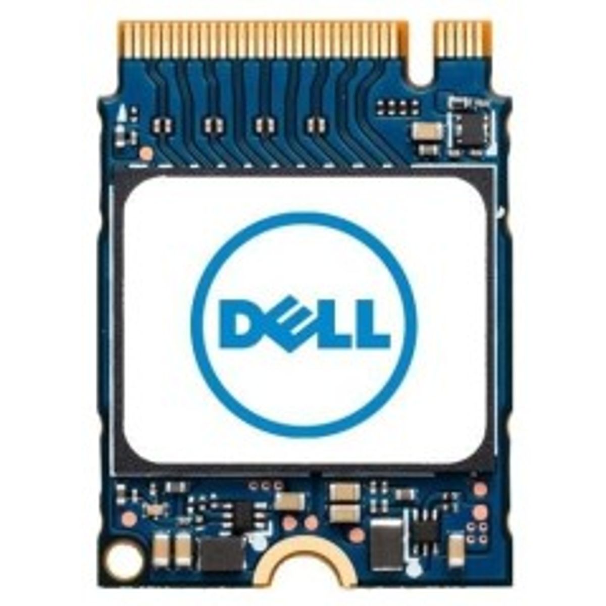 Dell Internal Solid State Drive